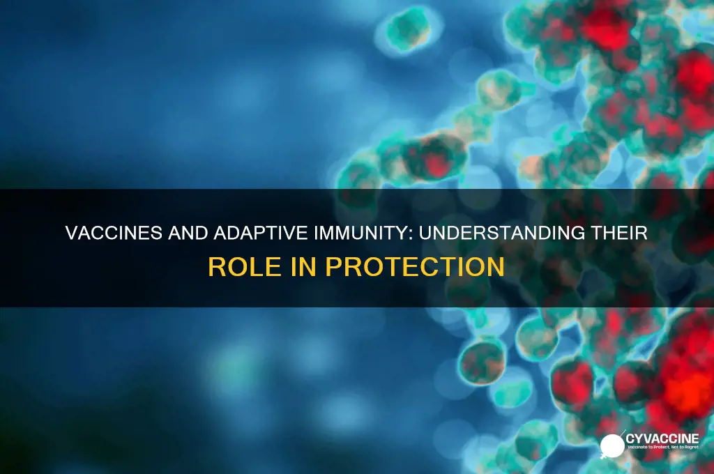 are vaccines part of adaptive immunity