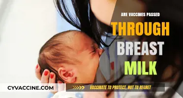 Breast Milk and Vaccines: What Really Passes to Your Baby?