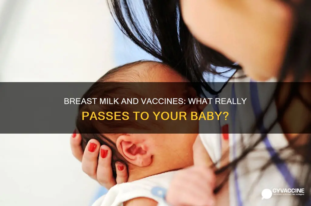are vaccines passed through breast milk