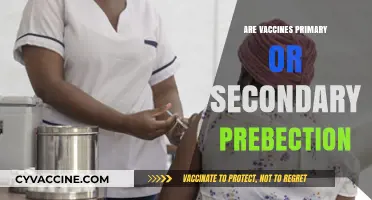 Vaccines: Primary or Secondary Prevention? Understanding Their Role in Health