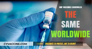 Global Vaccine Schedules: Are They Uniform or Country-Specific?