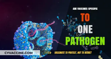 Are Vaccines Pathogen-Specific? Understanding Their Targeted Immunity Mechanisms