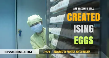 Are Vaccines Still Made Using Eggs? Unraveling Modern Production Methods