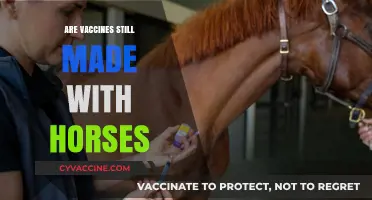 Are Vaccines Still Made with Horses? Unraveling the Truth