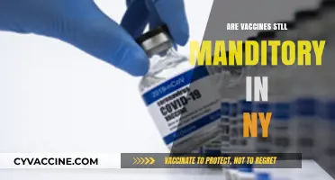 Are Vaccines Still Mandatory in NY? Current Rules Explained