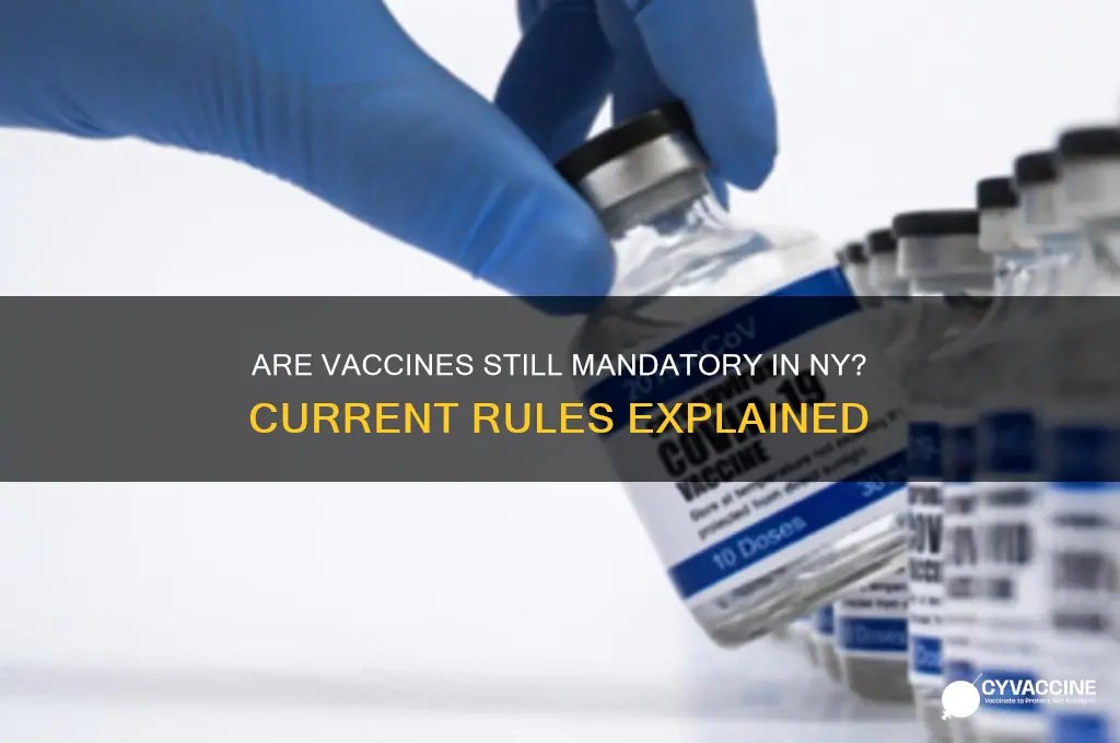 are vaccines stll manditory in ny