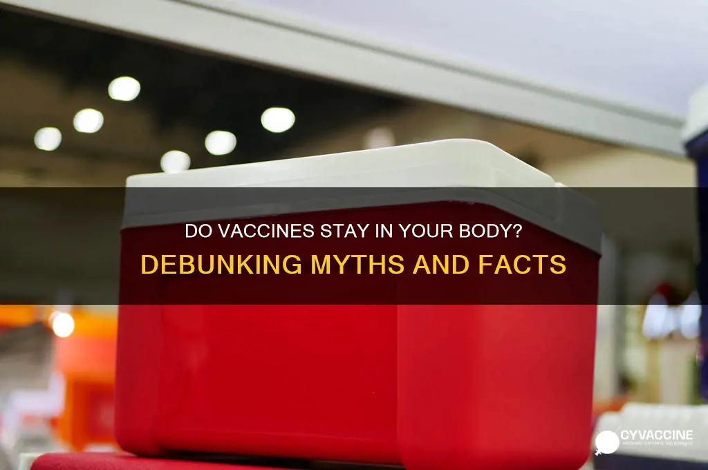 are vaccines stored in your body