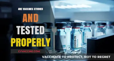 Vaccine Safety: Rigorous Testing and Research Behind Every Dose
