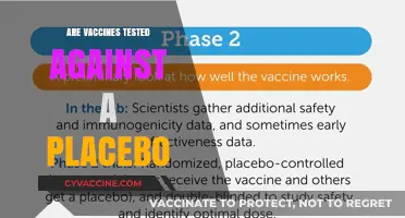 Vaccine Testing: The Role of Placebos in Clinical Trials Explained