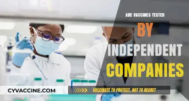 Are Vaccines Independently Tested? Uncovering the Truth Behind Vaccine Safety