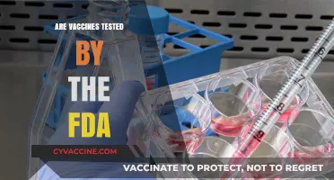Are Vaccines FDA-Tested? Uncovering the Approval and Safety Process