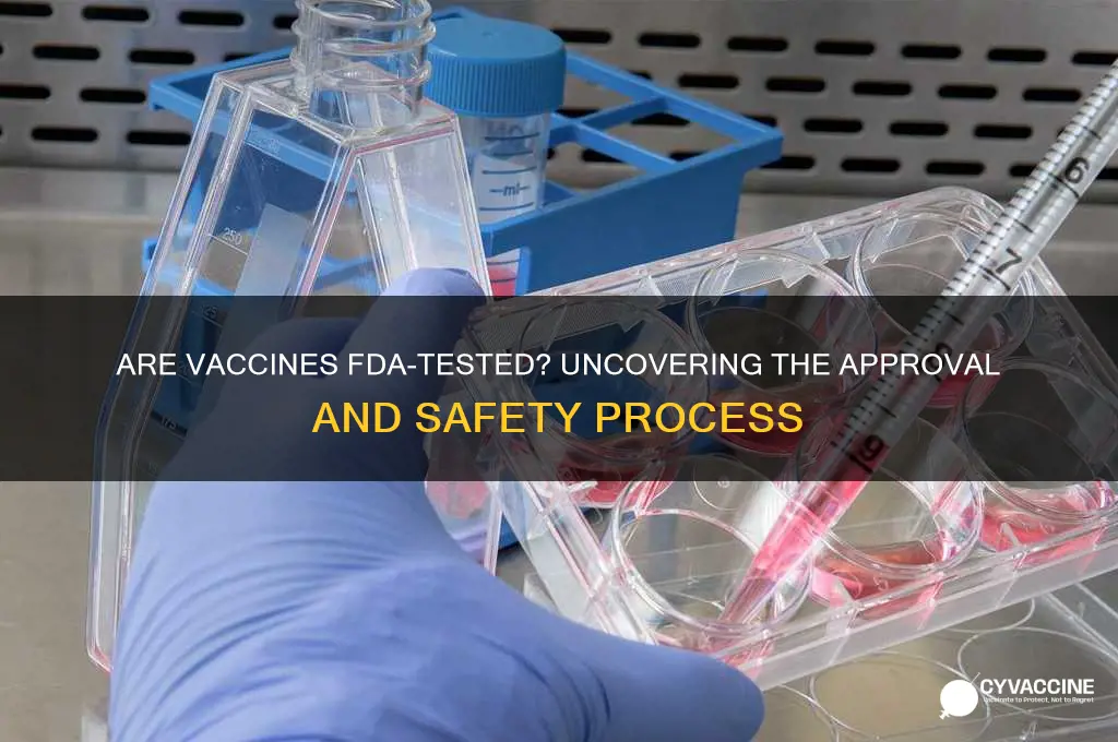 are vaccines tested by the fda