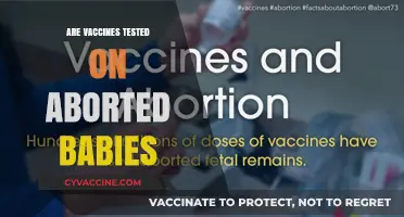 Debunking Myths: The Truth About Vaccines and Fetal Tissue Research