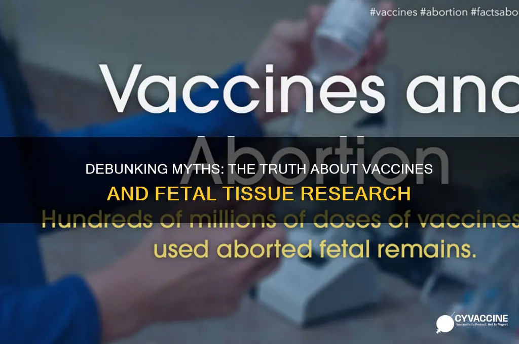 are vaccines tested on aborted babies