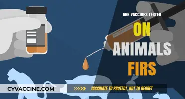 Are Vaccines Tested on Animals First? Uncovering the Truth