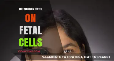 Are Vaccines Tested on Fetal Cells? Unraveling the Facts