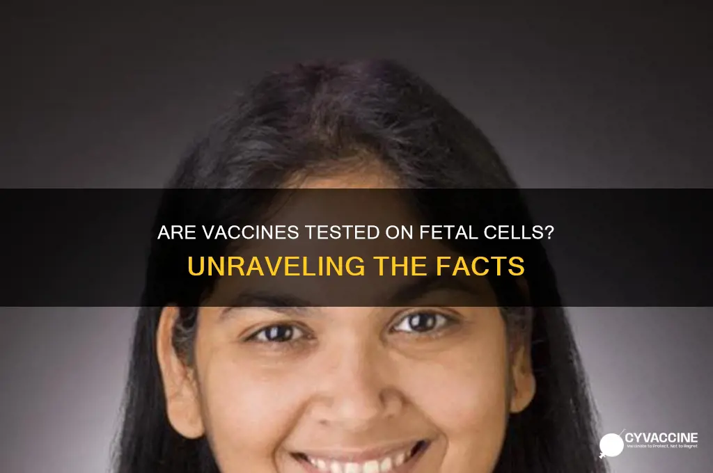 are vaccines tested on fetal cells