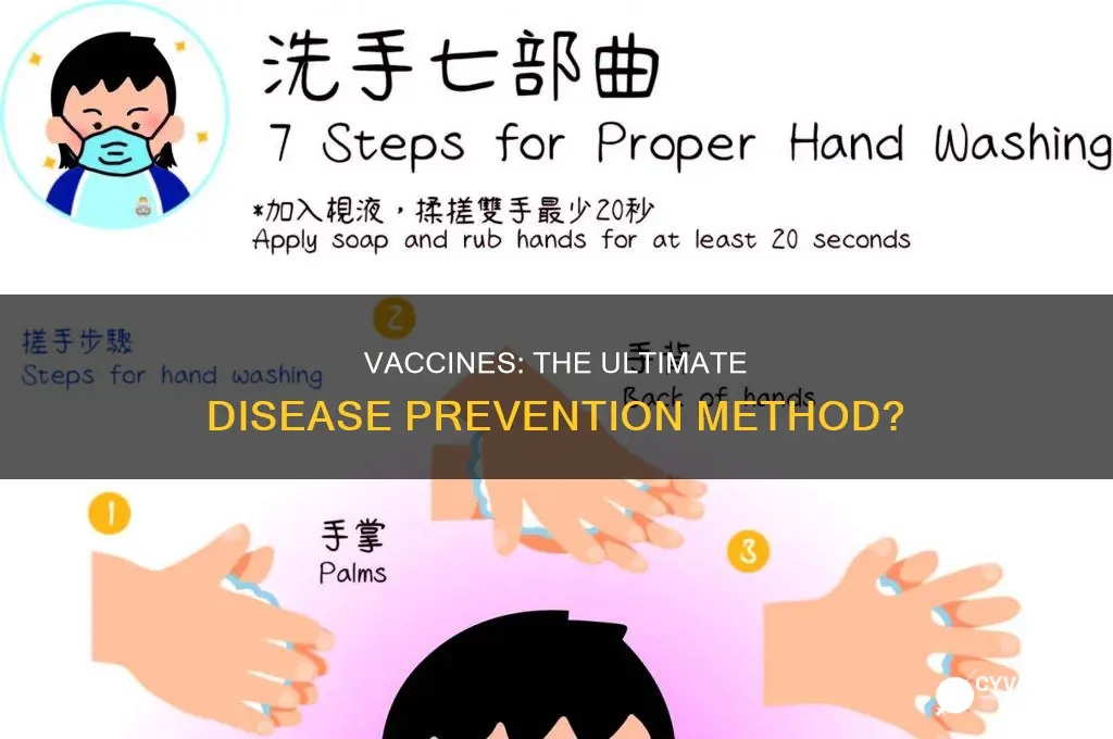 are vaccines the only way to prevent disease