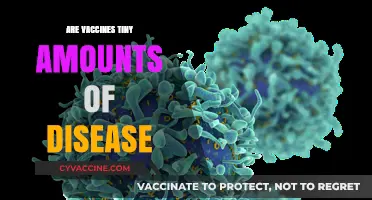 Are Vaccines Tiny Amounts of Disease? Unraveling the Science Behind Immunization