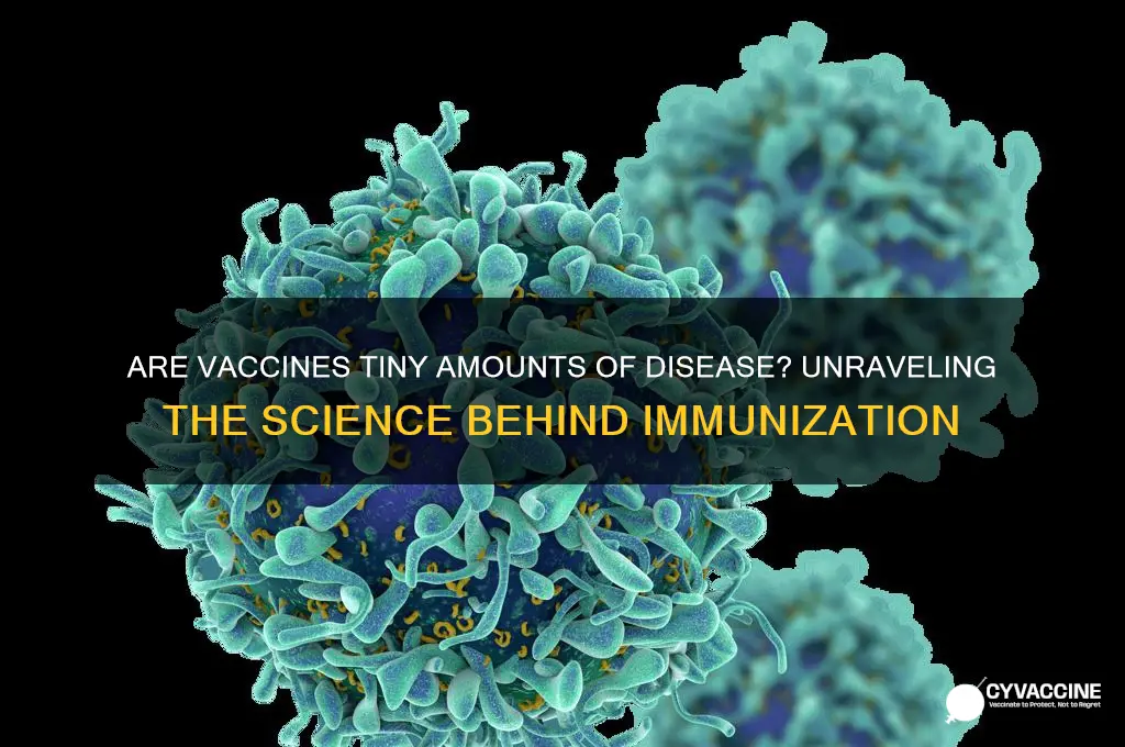 are vaccines tiny amounts of disease