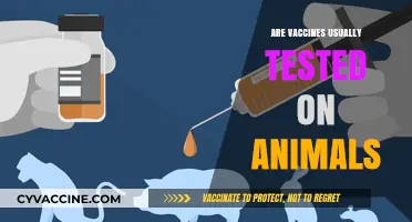 Animal Testing in Vaccine Development: Ethical Concerns and Alternatives