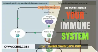 Do Vaccines Weaken Immunity? Debunking Myths and Understanding Facts