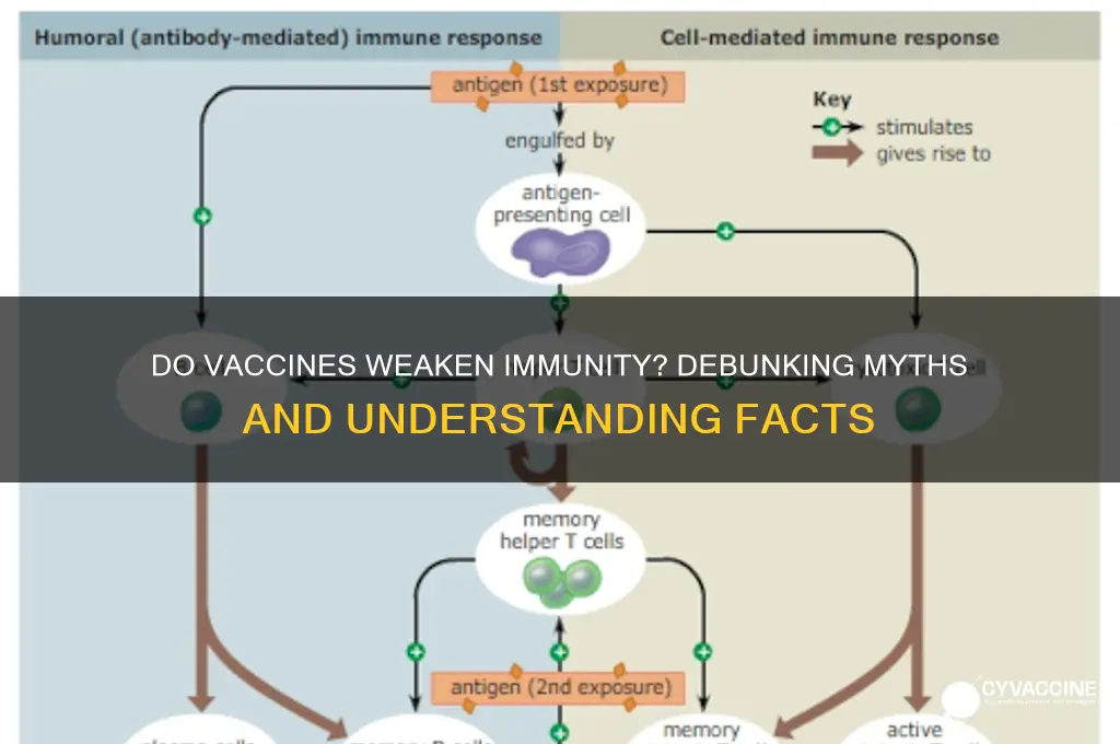 are vaccines weaken your immune system