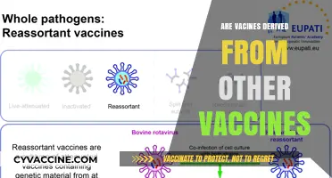 Vaccine Lineage: Exploring How Vaccines Are Derived from Other Vaccines