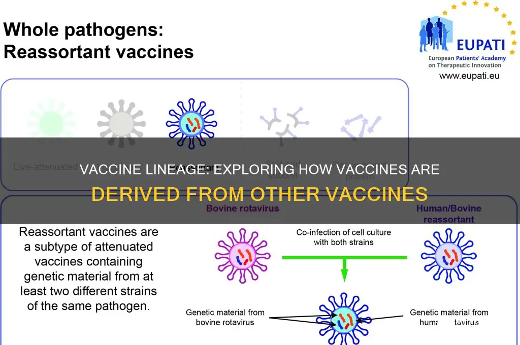 are vacines derived from other vaccines