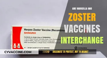 Varicella vs. Zoster Vaccines: Interchangeable or Unique Protection?