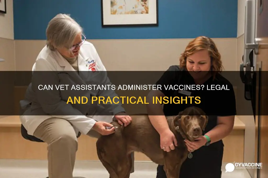 are vet assistant allowed to vaccinate