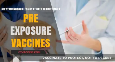 Rabies Vaccines: Are Vets Legally Bound to Get Pre-Exposure Shots?