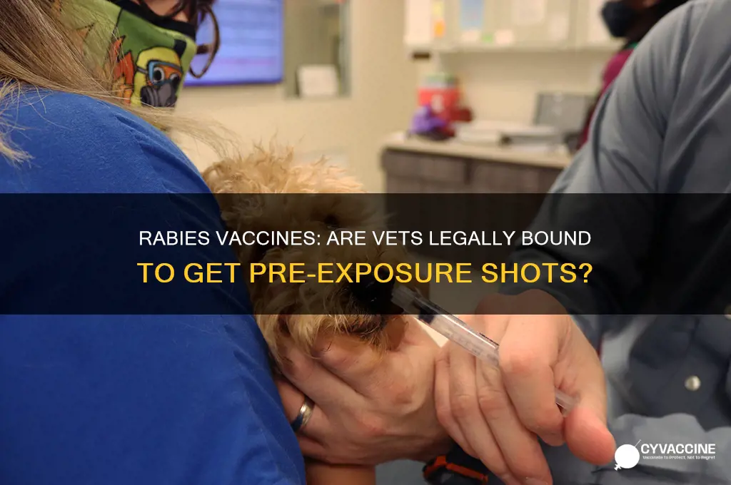 are veterinarians legally reuired to have rabies pre exposure vaccines