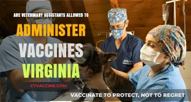 Veterinary Assistants in Virginia: Can They Vaccinate?