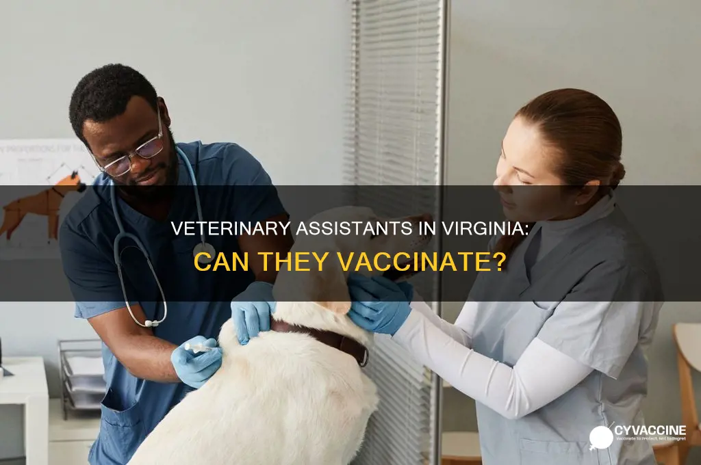 are veterinary assistants allowed to administer vaccines virginia