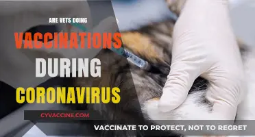 Vets and Pet Vaccinations: Services During the Coronavirus Pandemic
