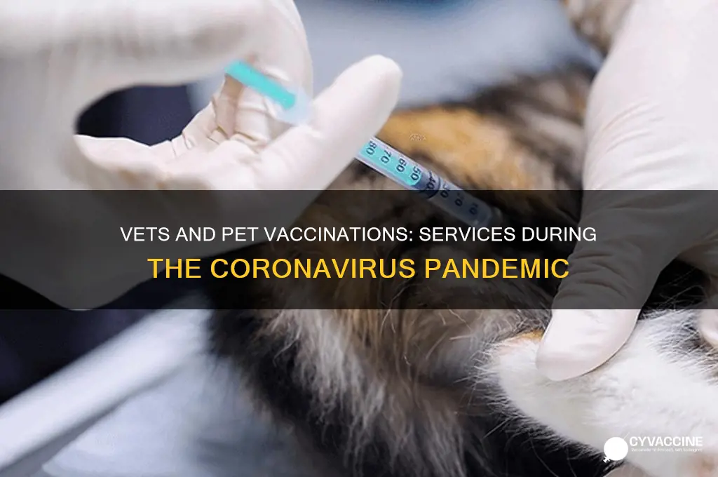 are vets doing vaccinations during coronavirus