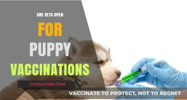 Puppy Vaccinations: Are Vets Open for Essential Pet Care?