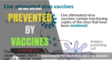 Can Vaccines Prevent Viral Infections? Exploring the Science and Facts