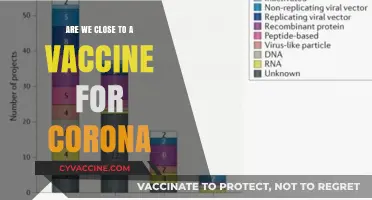 The COVID-19 Vaccine: Are We Close?