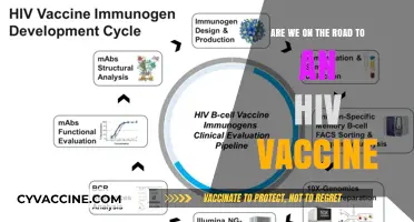 HIV Vaccine: Are We Close to a Breakthrough?