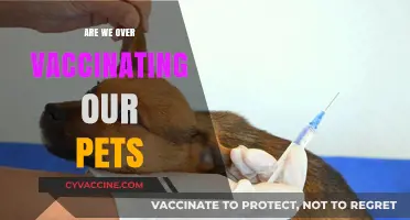 Are We Over-Vaccinating Our Pets? Balancing Health and Risks