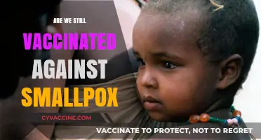 Smallpox Vaccination: Are We Still Protected in the Modern Era?