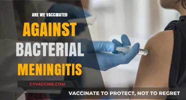 Are We Vaccinated Against Bacterial Meningitis? What You Need to Know