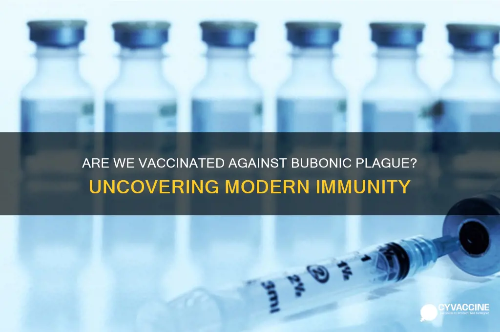 are we vaccinated against bubonic plaugue