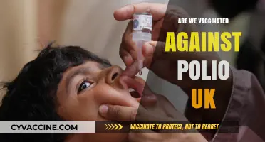 Polio Vaccination in the UK: Are We Fully Protected?