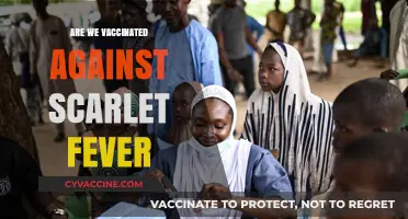 Scarlet Fever Vaccination: Are We Protected or Still at Risk?