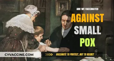 Are We Still Protected? Smallpox Vaccination and Modern Immunity