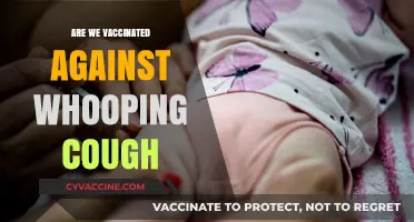 Are We Vaccinated Against Whooping Cough? Understanding Protection and Risks