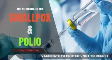 Smallpox & Polio Vaccinations: Are We Still Protected Today?